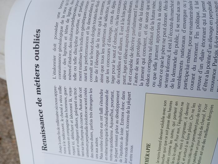 Livre plaisirs et pratiques de l'équitation - photo numéro 5