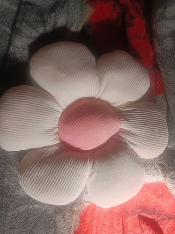 Coussin