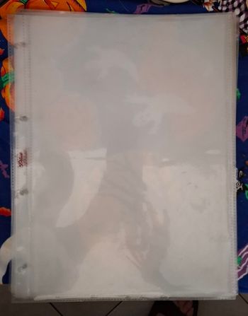 Pochettes plastifiée pour feuilles diddl A4