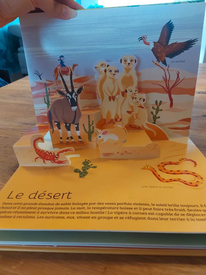 Les animaux autour du monde - photo numéro 9