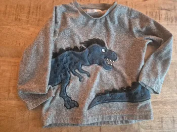 Pull dinosaure