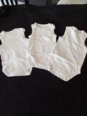 Bodies pat et ripaton