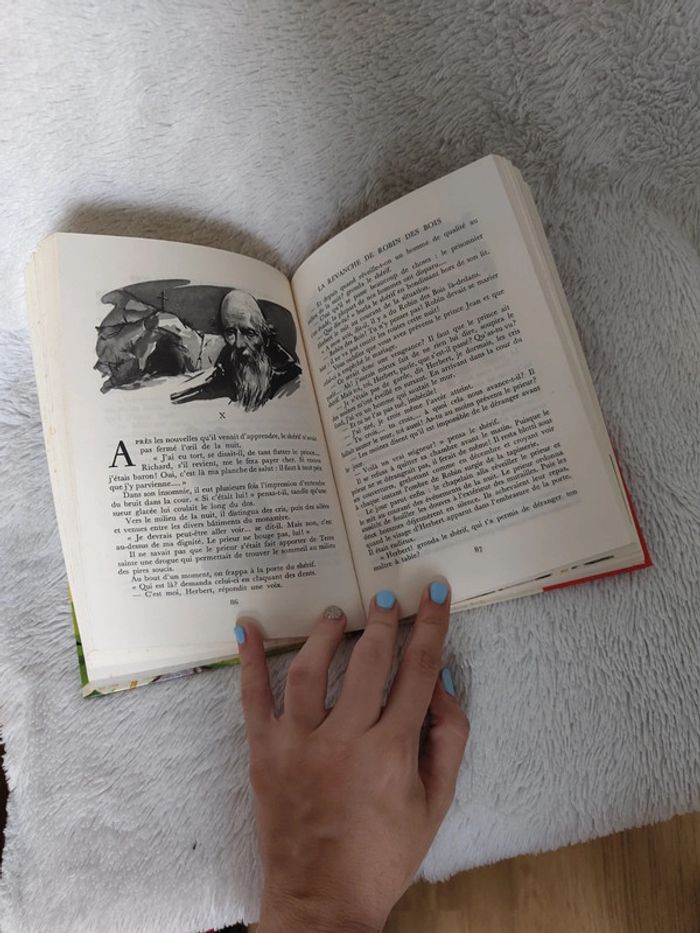 La revanche de Robin des bois - photo numéro 6