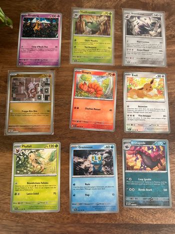 Cartes Pokémon 