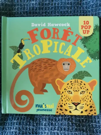 Livre Pop-up