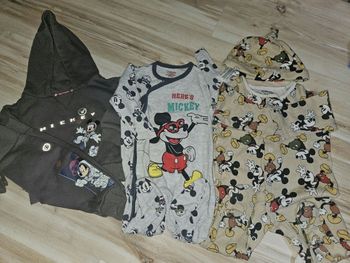 Lot mickey disney