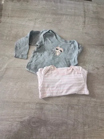 Lot bodies