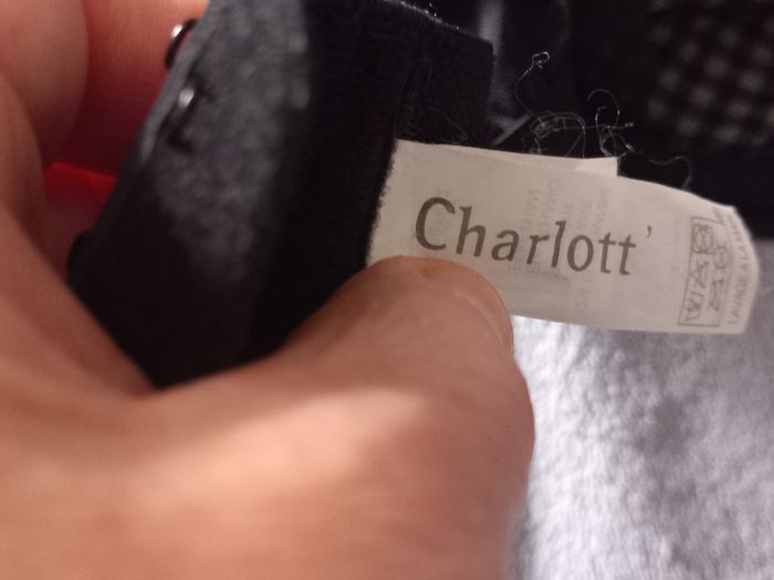 Soutien gorge - photo numéro 4