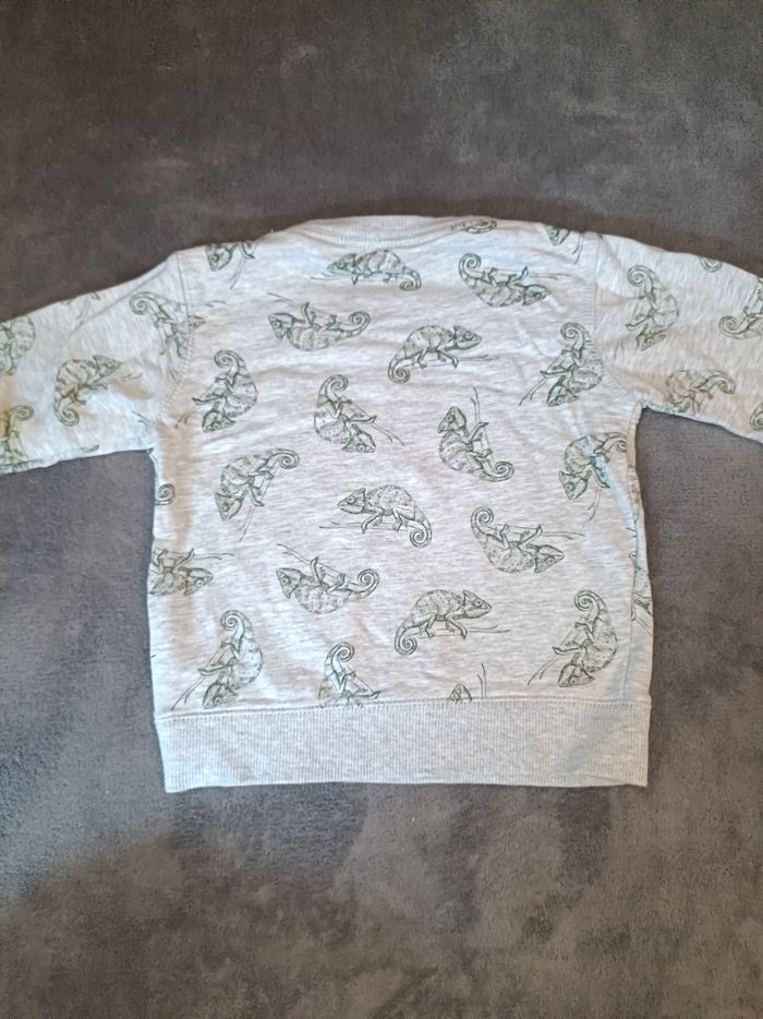Pull - Caméléon - photo numéro 6