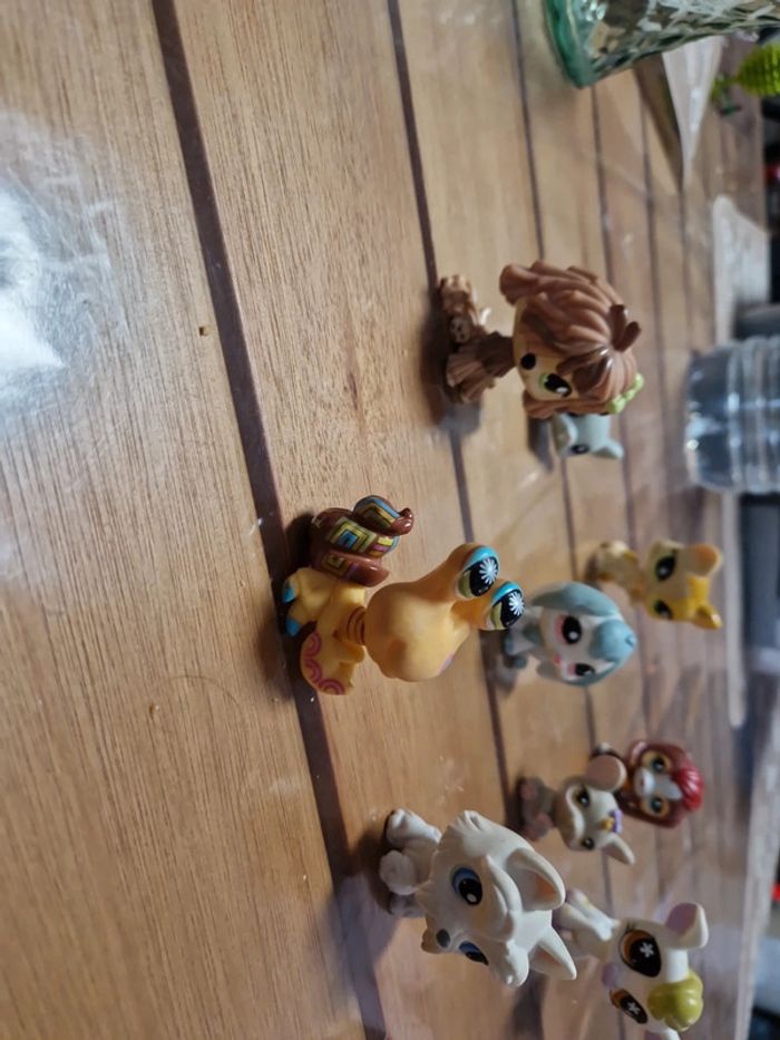Lot petshop (8) - photo numéro 11