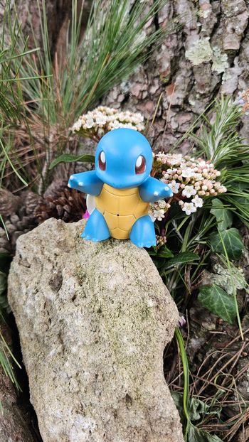 Super grande figurine Pokemon Nintendo Carapuce interactif 