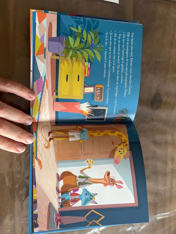 Livre le match de basket - photo numéro 2