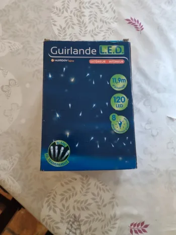 Guirlande électrique intérieur/extérieur