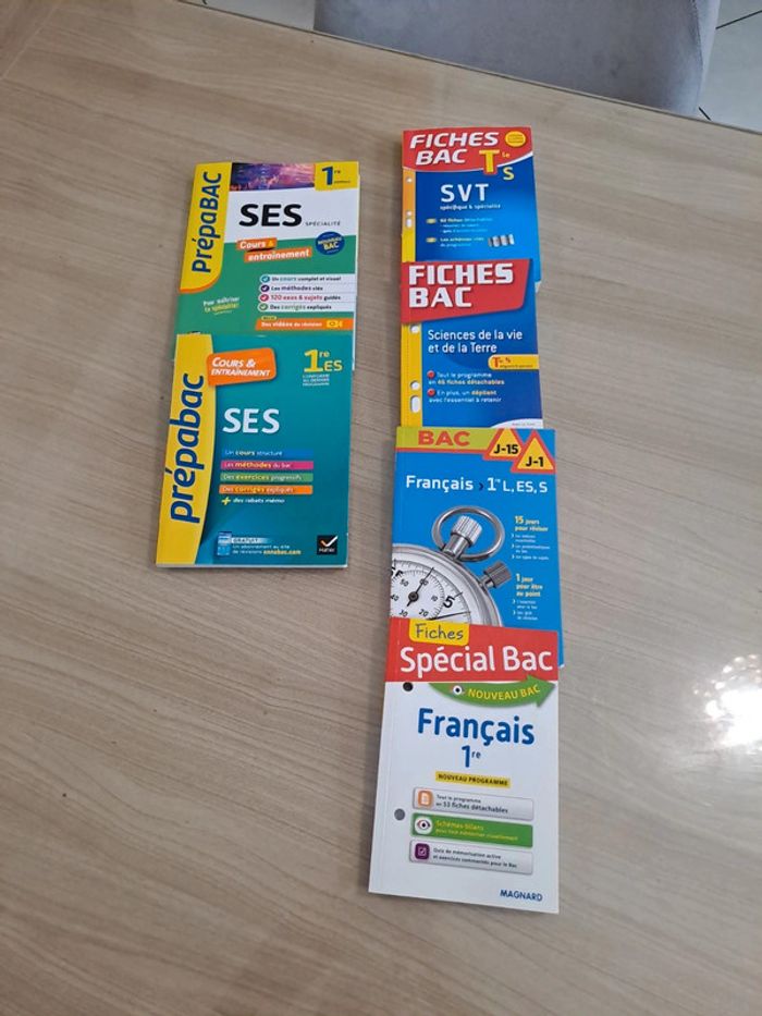 Lot de livres bac - photo numéro 6