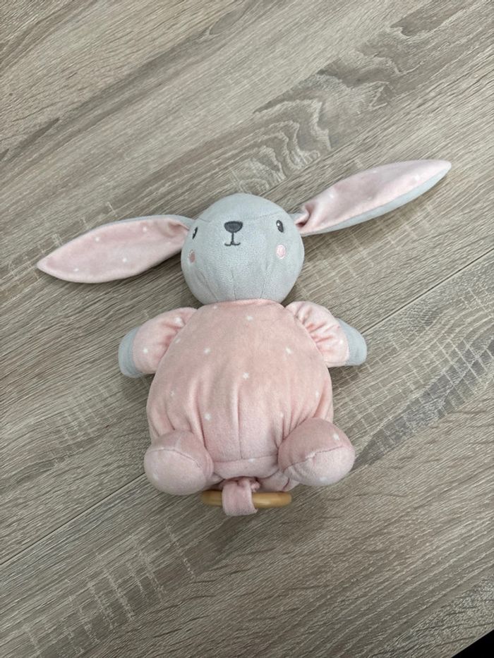 Lapin musical