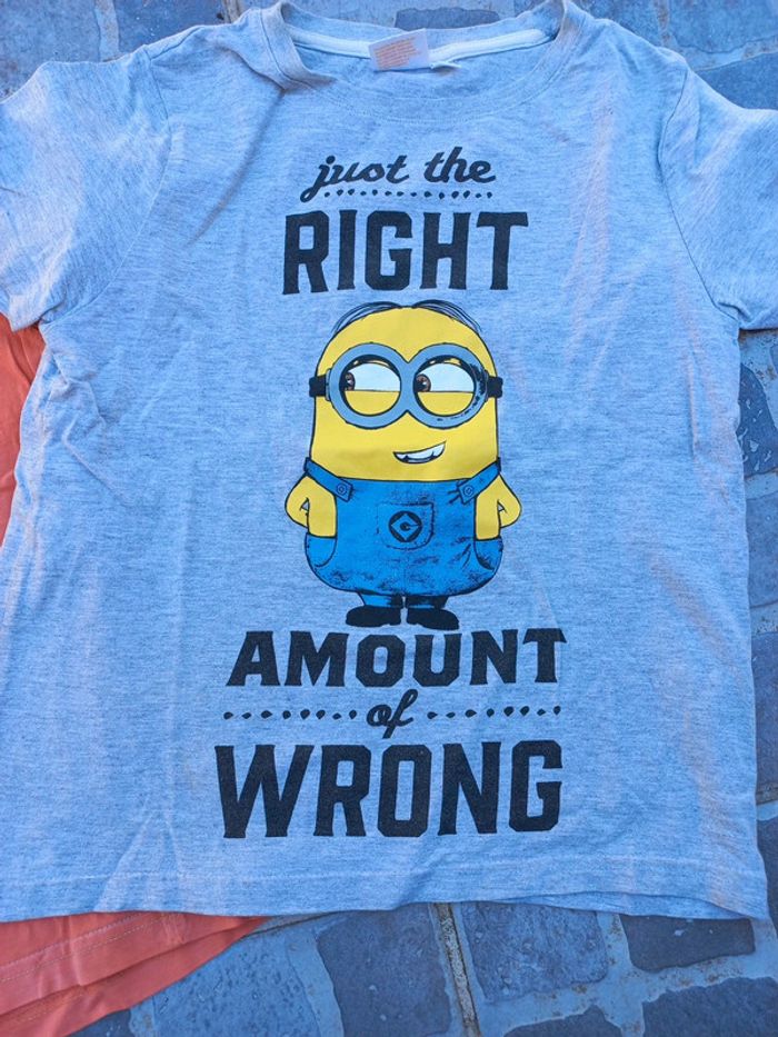 Lot 2 tee-shirt 🦝 - photo numéro 2