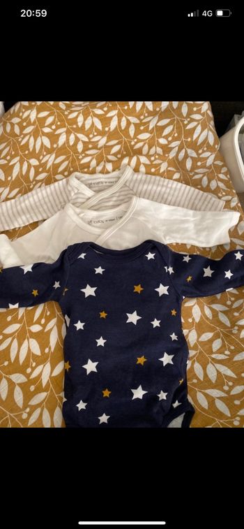 Lot de 3 bodies
