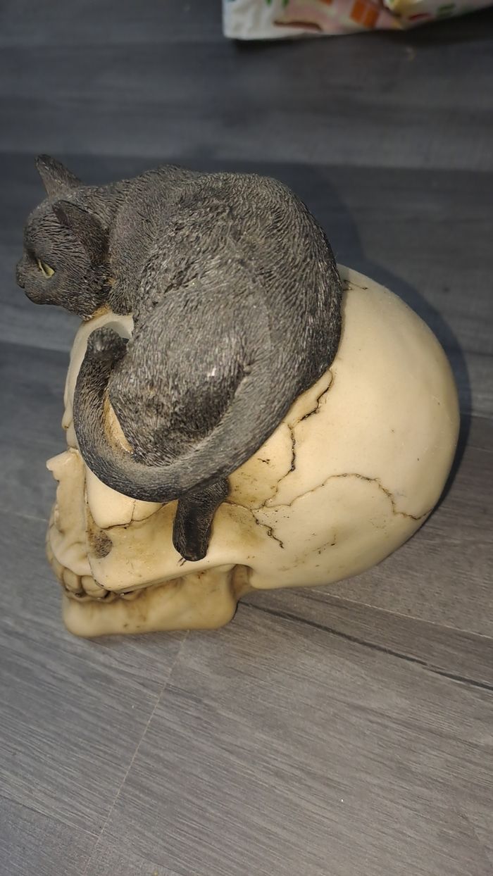 Déco tete de mort - photo numéro 2