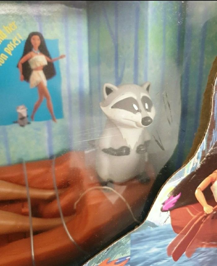 Pocahontas river rowing - photo numéro 3