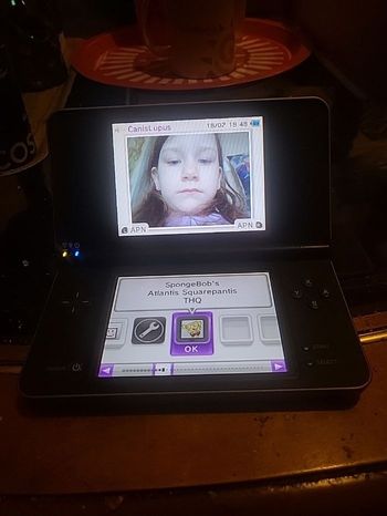 Dsi xl