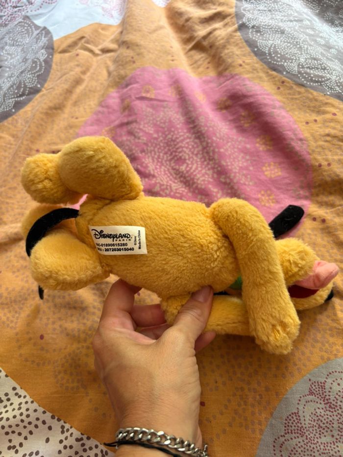 Petit pluto - photo numéro 2