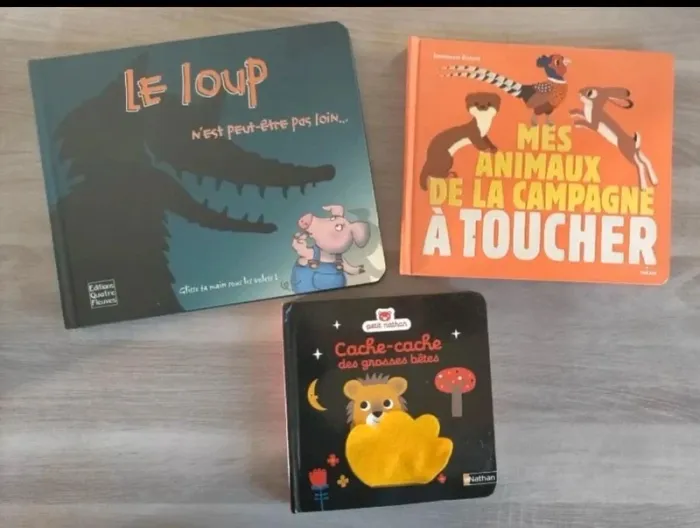 Lot de livres a toucher