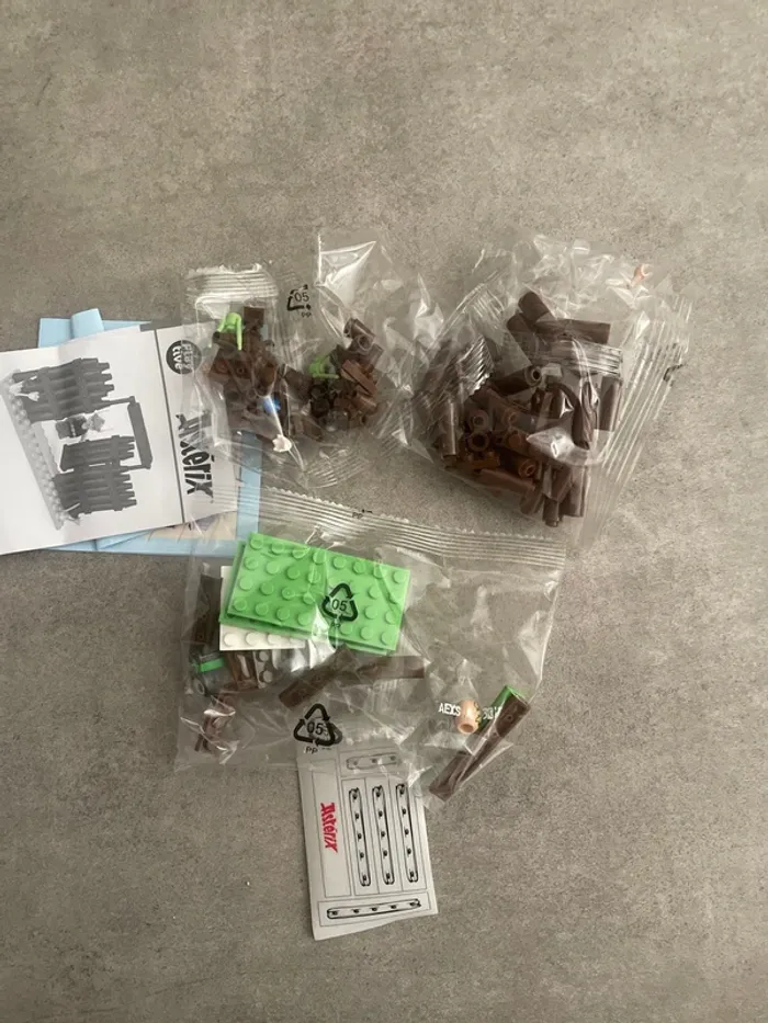 Astérix la porte d entrée gauloise - photo numéro 4