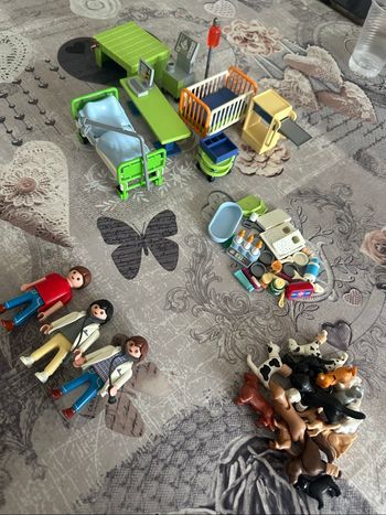 Lot de Playmobil