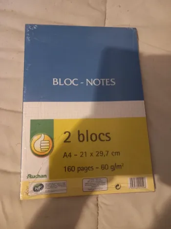 Lot de blocs notes 21x29,7 petits carreaux