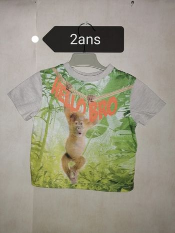 Tee-shirt singe, Influx 2ans
