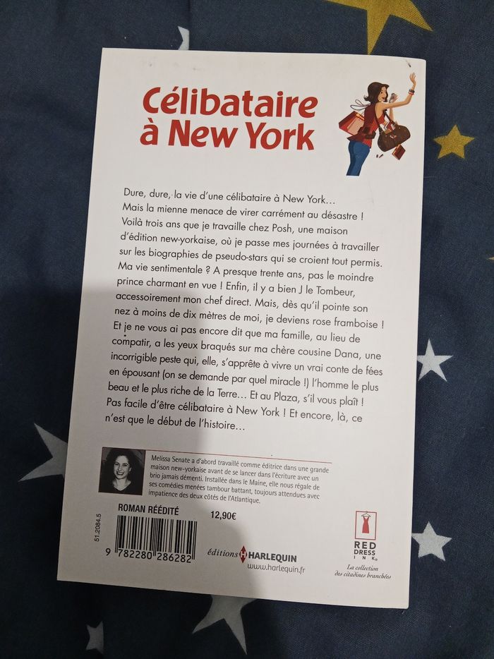 Livre (69) 📚 Célibataire a New-York - photo numéro 2