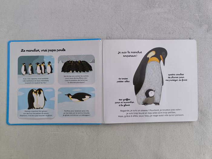 Livre Les animaux du froid Milan - photo numéro 4