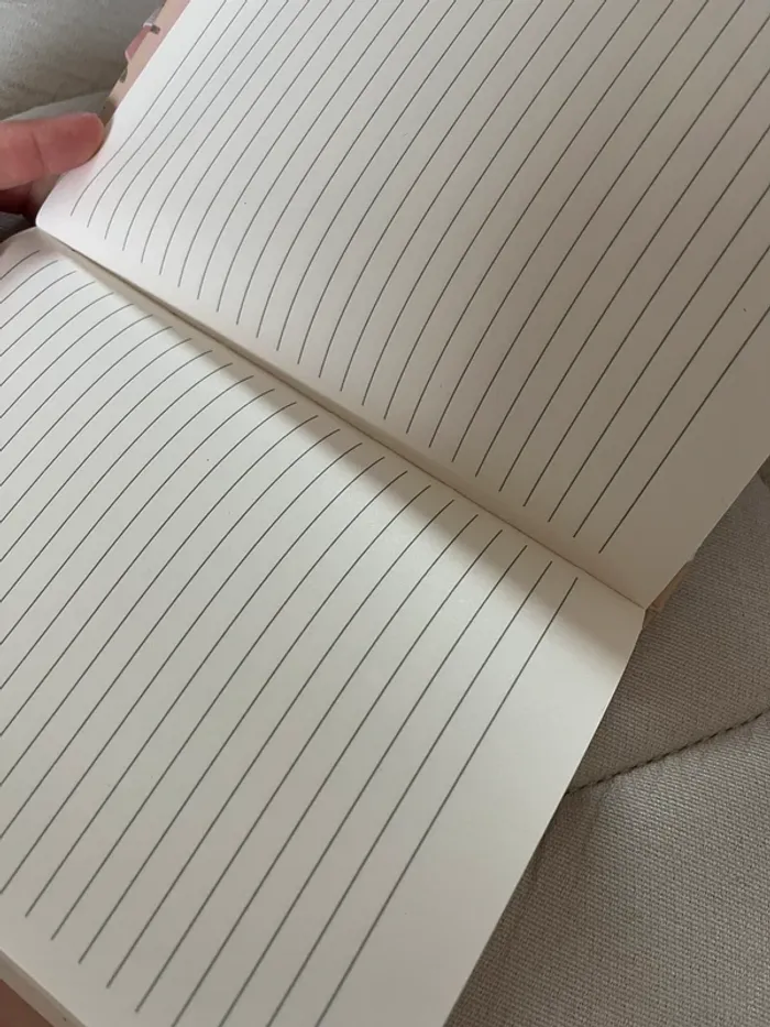 carnet beige - photo numéro 2