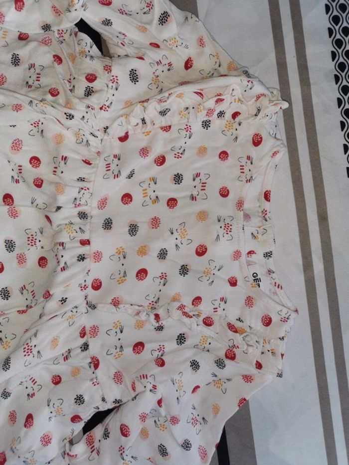 Tunique - photo numéro 2