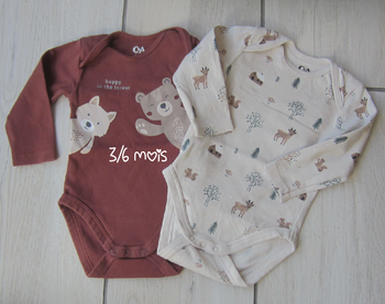 Lot de 2 bodies 3/6 mois.