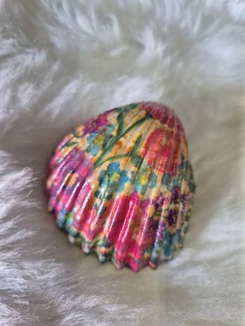 Coquillage décoratif