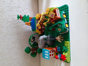 Duplo Lego Zoo