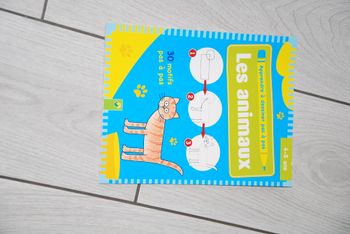 livre apprendre a dessiner pas à pas 4-5 ans les animaux Schwager & Steinlein Verlag