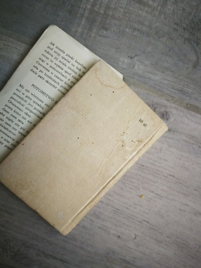 Mini livre en polonais WAZYK - photo numéro 4