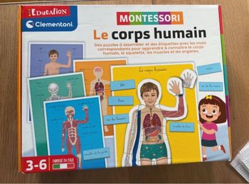 Jeu montessori le corp humain
