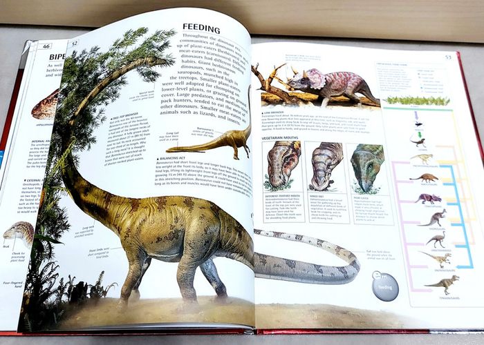 📚 Livre en anglais : e.explorer dinosaur - photo numéro 3