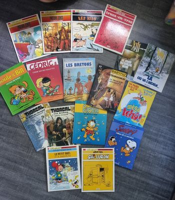 BD à l'unité : garfield, snoopy, boule, marsupilami, Papyrus, xiii, thorgal, titeuf, indiana