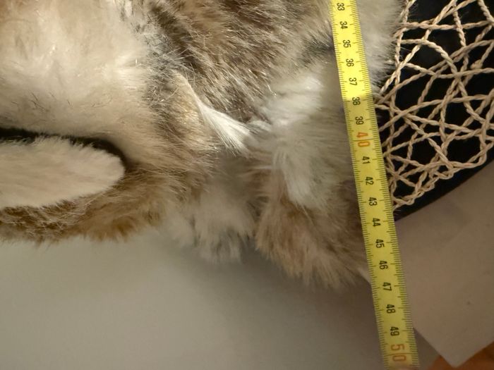 Peluche lynx collection Aux Nations - photo numéro 3