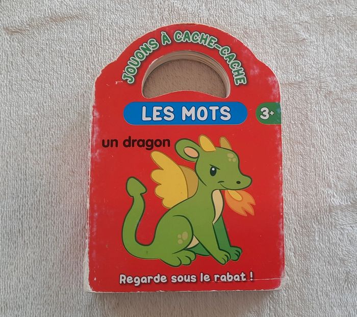 Livre Les Mots avec rabats
