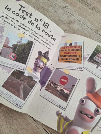 Cahier de vacances pour adulte lapins crétins