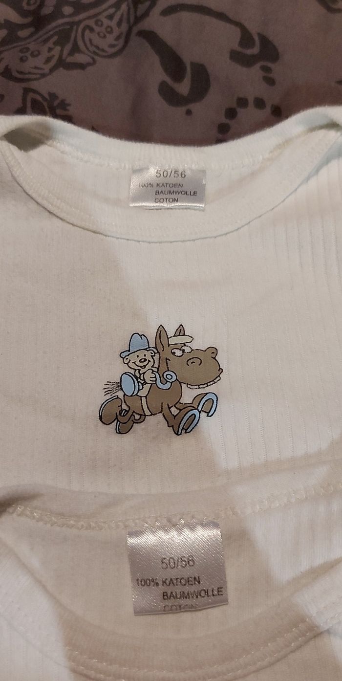 Lots 2 bodies - photo numéro 2