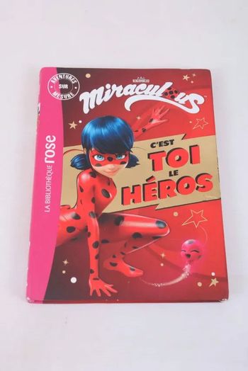 Miraculous Ladybug : C'est toi le héros
