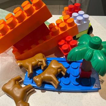 Lot 40 briques cubes animaux pour bébé