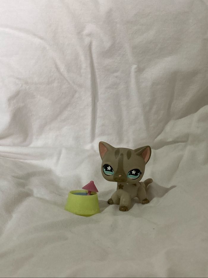 lps chat européen