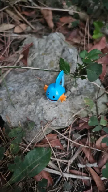 Super figurine Pokemon Nintendo Gobou